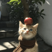 DoYouWannaApple